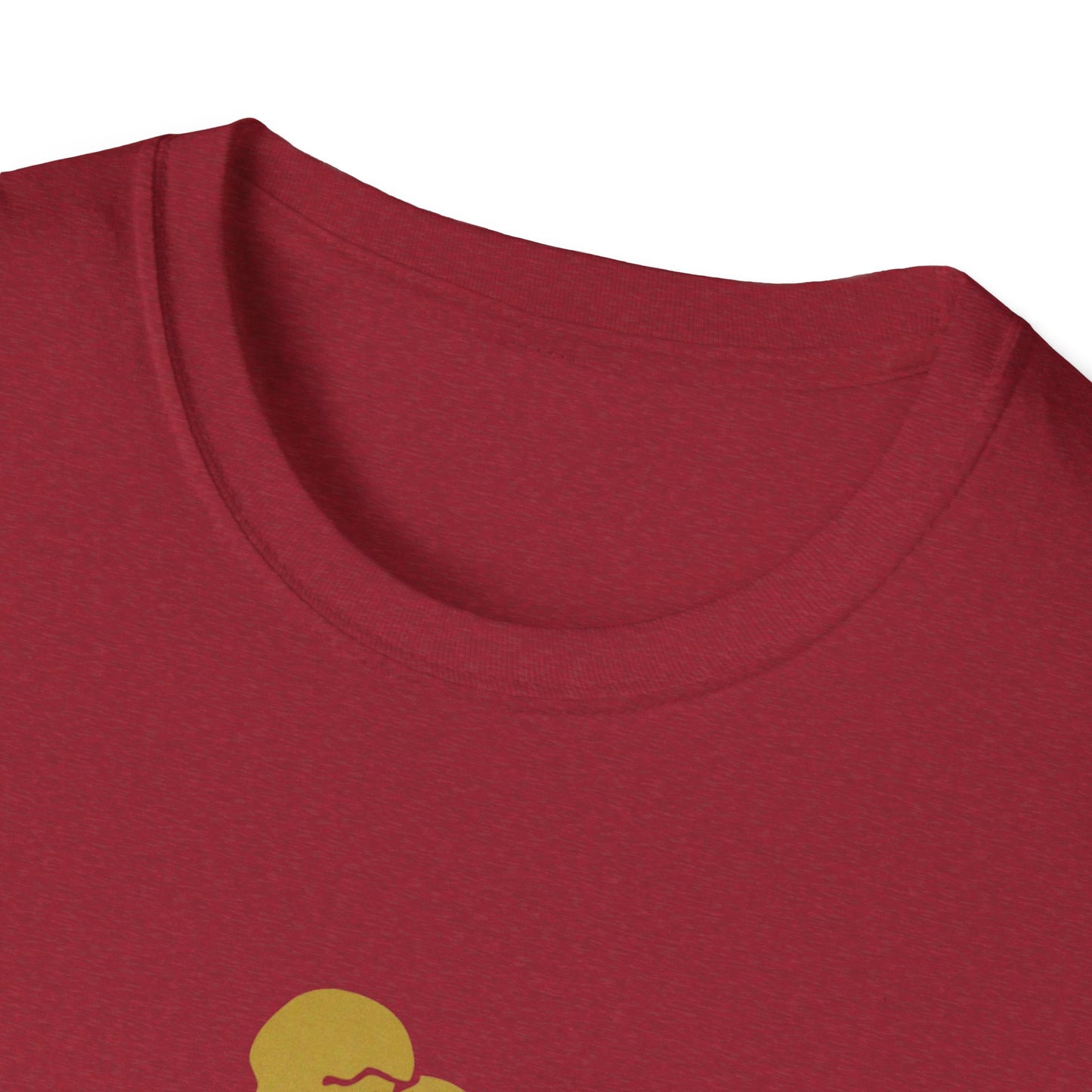 Aquarius Zodiac Unisex T-Shirt