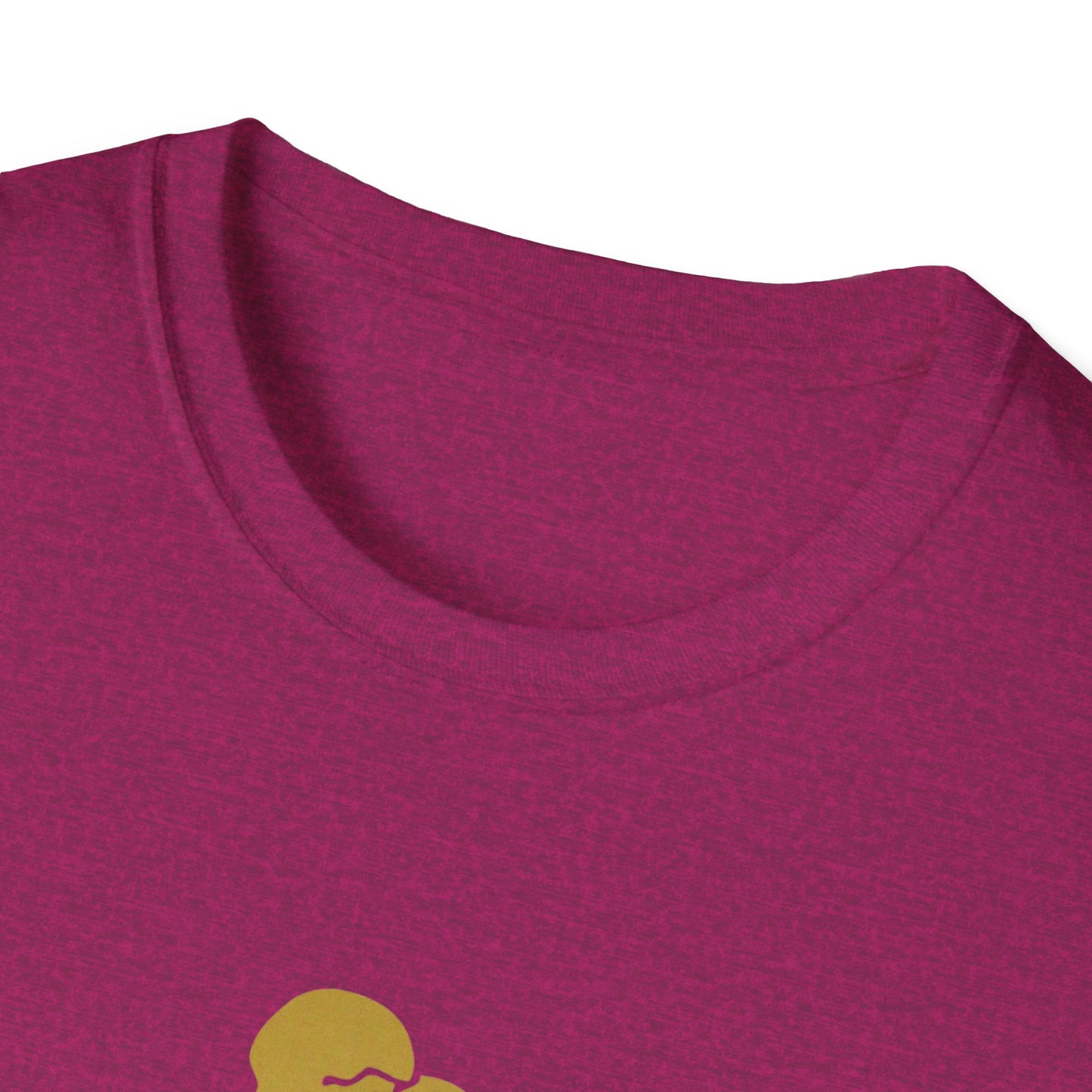 Aquarius Zodiac Unisex T-Shirt